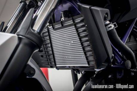 Yamaha MT25 (15)