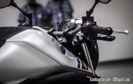 Yamaha MT25 (68)